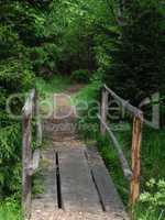 Little wooden bridge over creek in forest