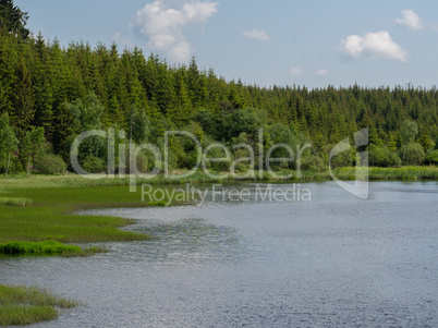 Small pond in forest and cloudy sky