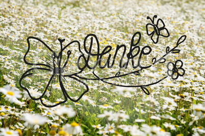 Sunny White Daisy Flower Meadow, Calligraphy Danke Means Thank You
