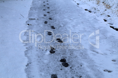 Traces of a man on a snow covered road