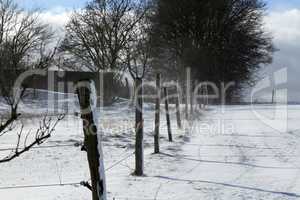 Winter rural landscape with a fence of wooden columns