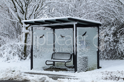 Bus stop on a winter snowy day