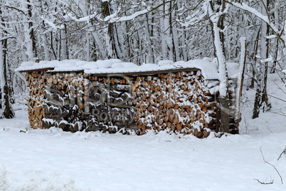 Woodpile of firewood on the outskirts of a winter forest