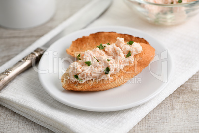 Appetizer pate  salmon with soft cheese