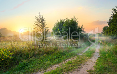 Spring field at sunrise