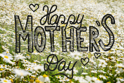 Sunny White Daisy Flower Meadow, Calligraphy Happy Mothers Day