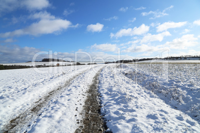 Winter landscape with trees covered in white snow