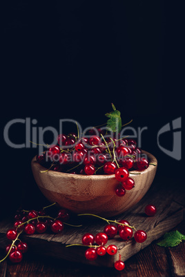 Fresh picked red currants