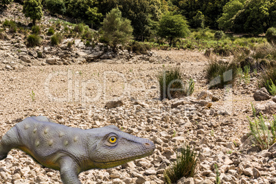 Dry river bed with small green plants.