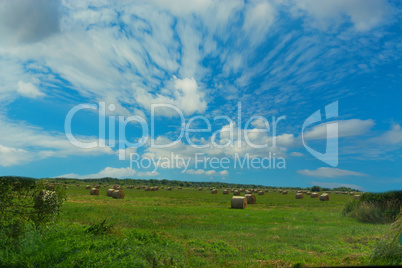 Scenic panorama with hay bales