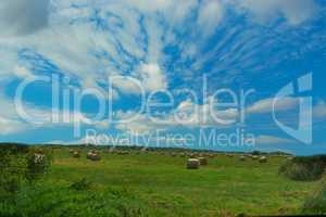 Scenic panorama with hay bales