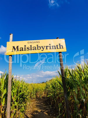 A maze cut from a corn field