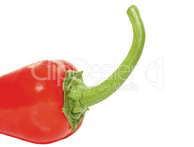 Red hot pepper