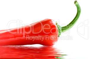 Red hot pepper