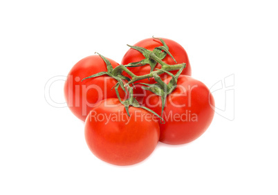 Sprig of ripe tomatoes