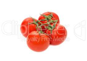 Sprig of ripe tomatoes