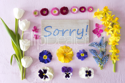 Flat Lay With Spring Flower Blossoms, Sign, Text Sorry