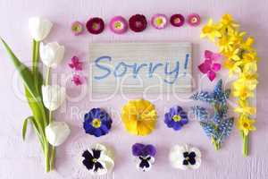 Flat Lay With Spring Flower Blossoms, Sign, Text Sorry