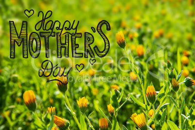 Yellow Flower Meadow, Calligraphy Happy Mothers Day, Spring Season