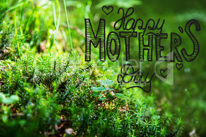 Green Fir Branches, Grass, Calligraphy Happy Mothers Day