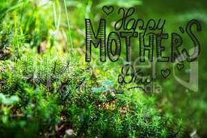 Green Fir Branches, Grass, Calligraphy Happy Mothers Day