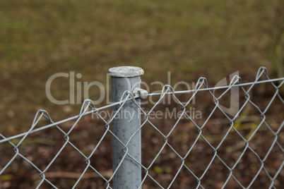 Fence made of metal posts and metal mesh