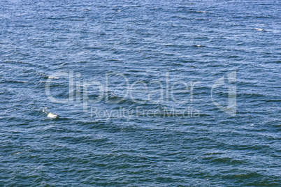 Background of ripples on water surface