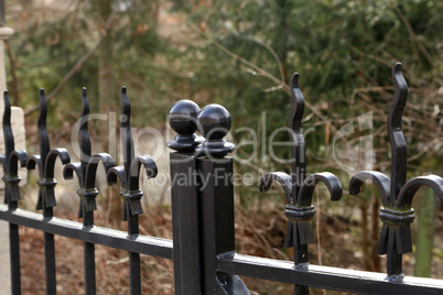 Metal fence. Metal curly fence in the park