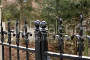 Metal fence. Metal curly fence in the park