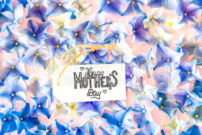 Label With Calligraphy Happy Mothers Day. Hydrangea Flower Blossoms