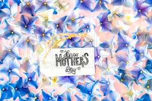 Label With Calligraphy Happy Mothers Day. Hydrangea Flower Blossoms