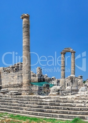 Ionic Columns in the Temple of Apollo at Didyma, Turkey