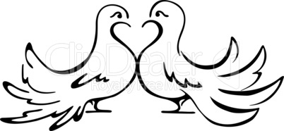 Beloved couple doves on illustration