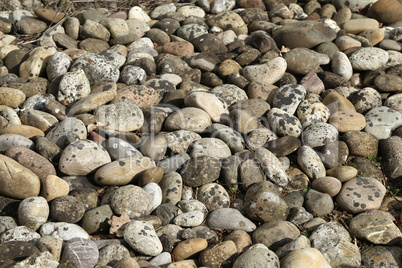 Random close up of some multi colored pebbles
