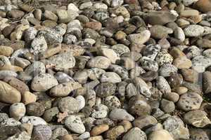 Random close up of some multi colored pebbles