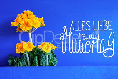 Yellow Spring Flowers, Alles Liebe Zum Muttertag Means Happy Mothers Day