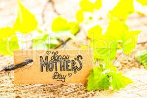 Label With Calligraphy Happy Mothers Day. Green Tree Branch