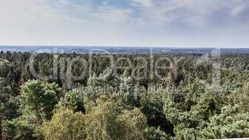 Wildlife sanctuary Hahnheide near Trittau - look from the watch tower