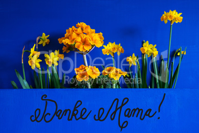 Spring Flowers, Narcissus, Text Dank Mama Means Thanks Mom