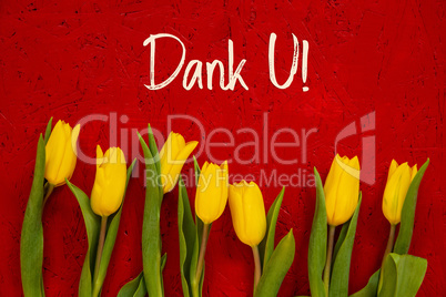 Yellow Tulip Flowers, Red Background, Text Dank U Means Thank You