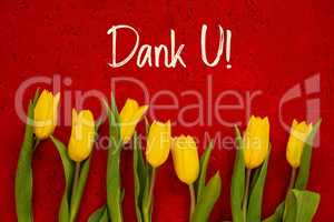 Yellow Tulip Flowers, Red Background, Text Dank U Means Thank You