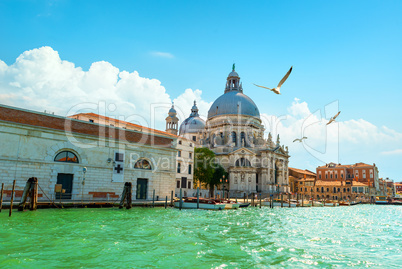 Grand Canal in the afternoon