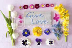 Flat Lay With Spring Flower Blossoms, Sign, Text Give Love