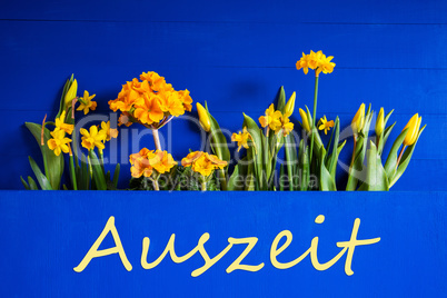 Spring Flowers, Tulip, Narcissus, Text Auszeit Means Downtime