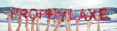 People Hands Holding Word Prophylaxe Means Prophylaxis, Snowy Winter Background