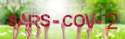 People Hands Holding Word Sars-Cov-2, Grass Meadow