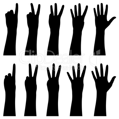 Illustration of hands counting from 1 to 5