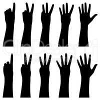 Illustration of hands counting from 1 to 5