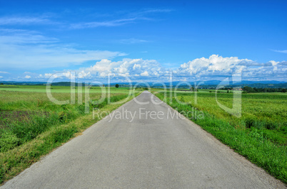 Country road and green fields, late spring landscape