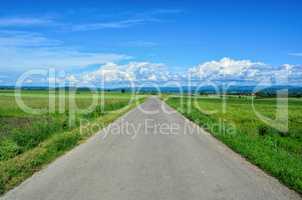 Country road and green fields, late spring landscape